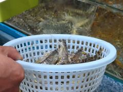 -港畔赶海蒸汽海鲜烧烤自助(仙螺岛店)