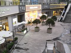 -金茂览秀城