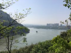 -铁山坪森林公园