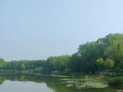 -北坞公园