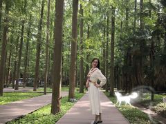 -东平国家森林公园