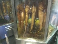 -一代烤翅王(大汉口店)