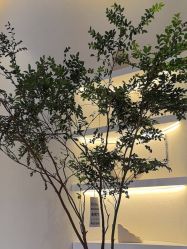 点击看大图 -王妃SPA·美容·科技抗衰