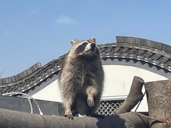 -宁波杭州湾国家湿地公园