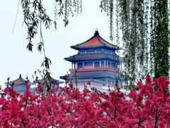 -莲花池公园