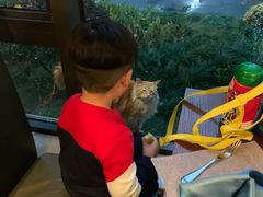 -浙江西子宾馆·瑶园咖啡厅