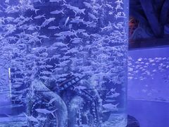 -波塞冬旅游度假区