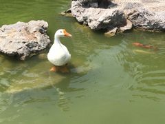 -祝家花園(伯渎港店)