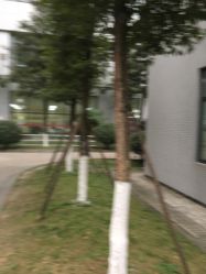 -成都市妇女儿童中心医院(中心院区)