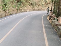 -西双版纳原始森林公园