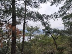 -千岛湖天屿景区