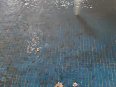 -仁爱团泊湖温泉中心