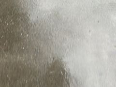 -川道拐耗儿鱼(旗舰店)
