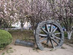 -海棠花溪(元大都城垣遗址公园)