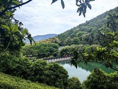 -九龙潭景区