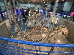 -国家自然博物馆