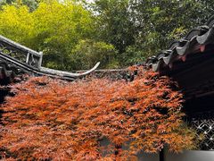 -上海醉白池公园