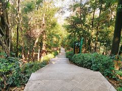 -梅州天地人花园酒店(梅县人民广场店)