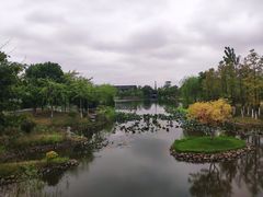 -东台西溪天仙缘景区