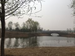 -东郊湿地公园