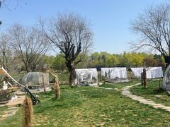 -Supine Bistro溯泮餐厅