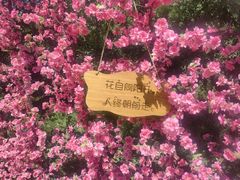 -北京凤凰岭