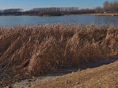 -丁香湖公园