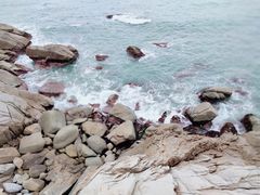 -广东惠东海龟国家级自然保护区
