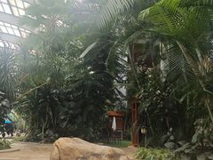 -国信南山温泉