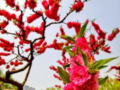 -元大都城垣遗址公园