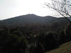 -西湖风景区-江洋畈生态公园