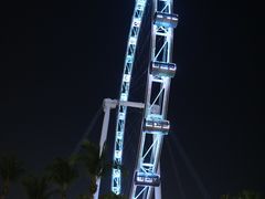 -新加坡摩天观景轮