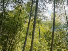 -白云源风景区