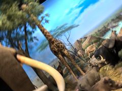 -陕西自然博物馆