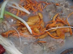 -九寨特色牦牛肉汤锅 羊肉汤锅