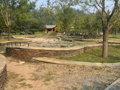 -东郊湿地公园