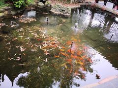 -华雅花园大酒店