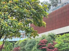 -咖啡厅自助餐厅(贵阳中天凯悦酒店)