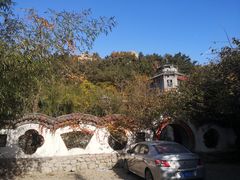 -老张烤羊(王哥庄店)