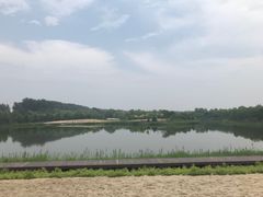 -东郊湿地公园