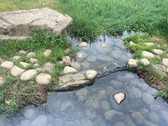 -滆湖低碳生态公园