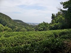 -南北湖风景区