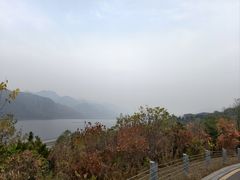 -北京中信金陵酒店