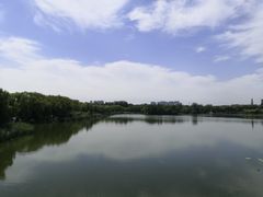 -大兴滨河森林公园