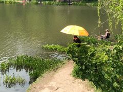 -新江湾城公园