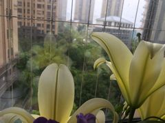 -特房·山水新座