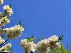 -海棠花溪(元大都城垣遗址公园)