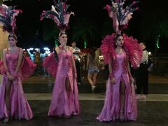 -清迈夜间动物园