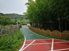 -龙寺生态园