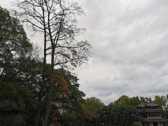 -柳侯公园